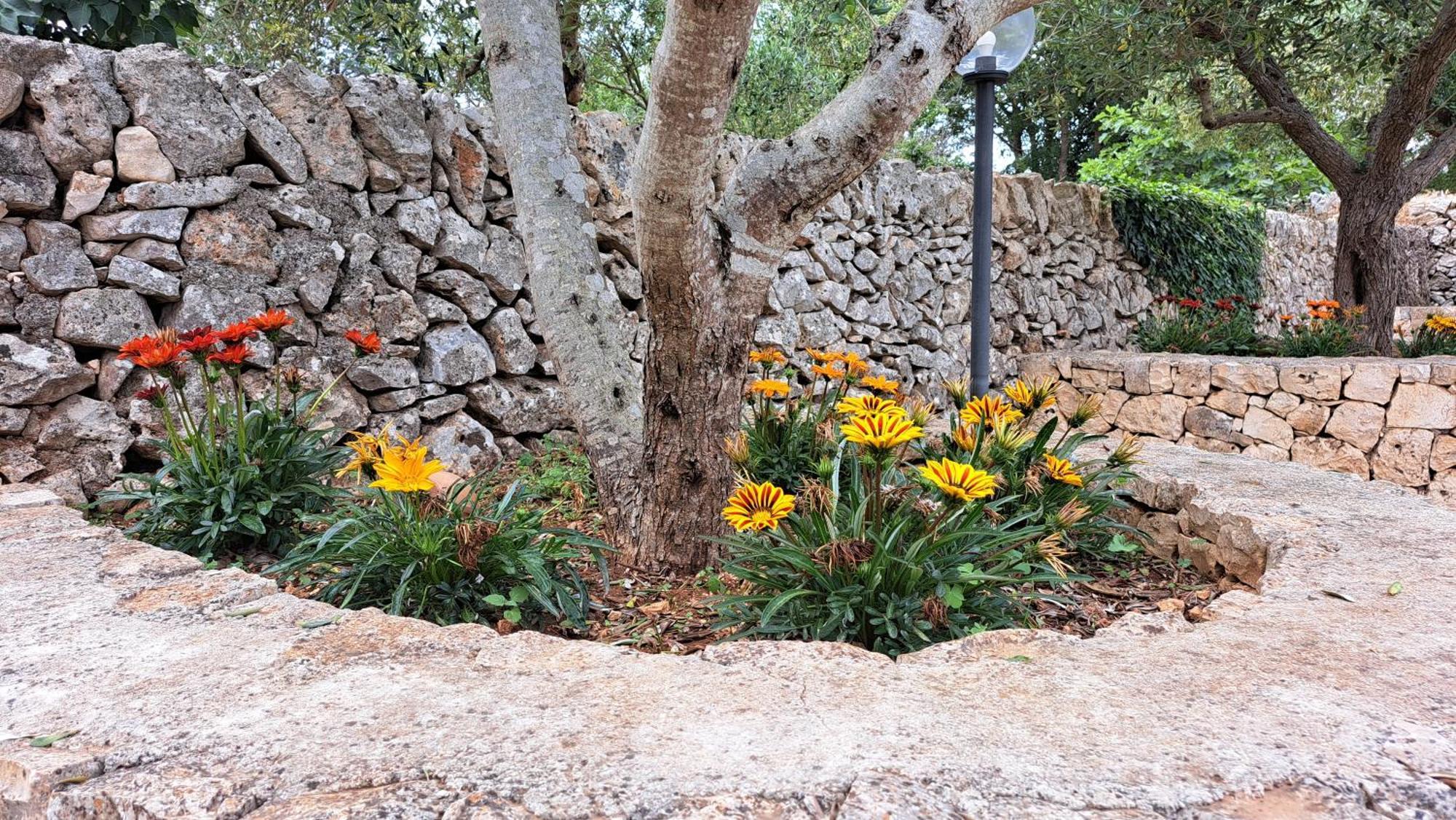 Casolare Di Puglia Villa Noci Esterno foto
